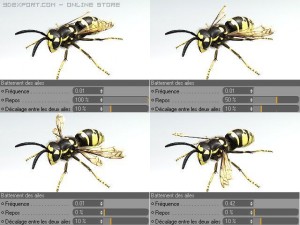 wasp Modelo 3D
