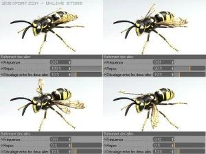 wasp 3D Model
