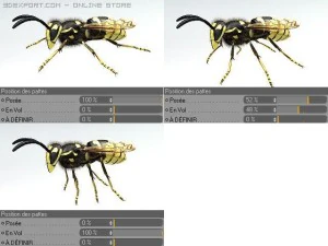 wasp 3D Model
