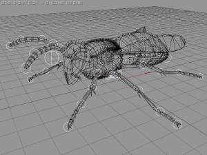 wasp Modelo 3D