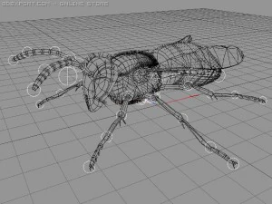 wasp 3D Model