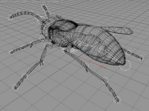 wasp 3D Model