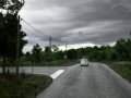forest road 3D 모델