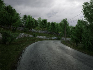 forest road Model 3D