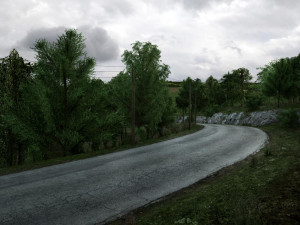 forest road Model 3D
