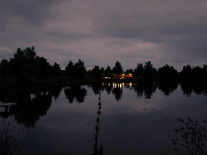 forest road 3D Model