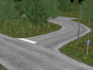 forest road 3D Model