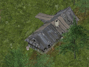 forest road Model 3D