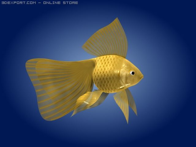 goldfish 3Dモデル .c4d .max .obj .3ds .fbx .stl .blend 