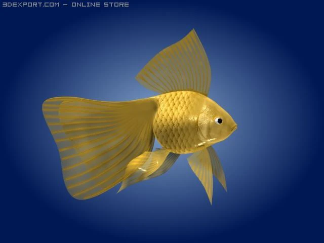 goldfish 3D Model .c4d .max .obj .3ds .fbx .stl .blend