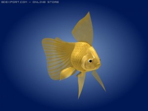 goldfish 3Dモデル