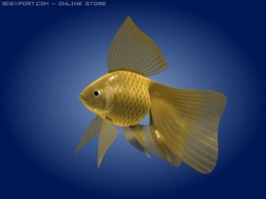 goldfish 3Dモデル