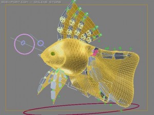 goldfish 3Dモデル