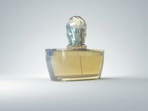 parfum sans nom Modèle 3D