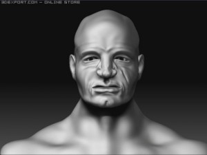 male head 3D Model