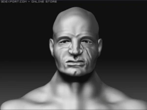 male head 3D Model