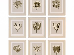 charlotte morgan watercolour tulips sepia nine pie Model 3D