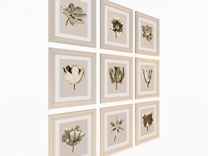 charlotte morgan watercolour tulips sepia nine pie Model 3D
