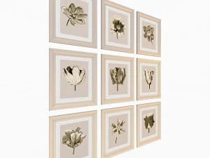 charlotte morgan watercolour tulips sepia nine pie 3D Model
