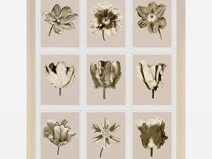 charlotte morgan watercolour tulips sepia nine pie Model 3D