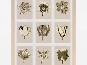 charlotte morgan watercolour tulips sepia nine pie 3D Model