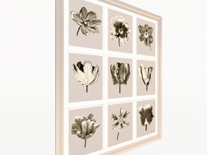 charlotte morgan watercolour tulips sepia nine pie Model 3D