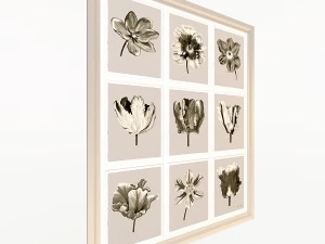 charlotte morgan watercolour tulips sepia nine pie 3D Model
