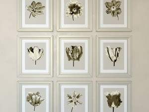 charlotte morgan watercolour tulips sepia nine pie Model 3D