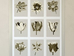 charlotte morgan watercolour tulips sepia nine pie Model 3D