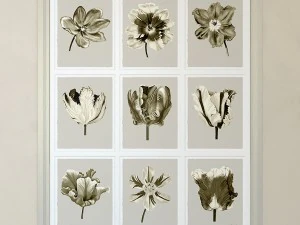 charlotte morgan watercolour tulips sepia nine pie 3D Model