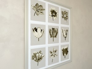 charlotte morgan watercolour tulips sepia nine pie Model 3D