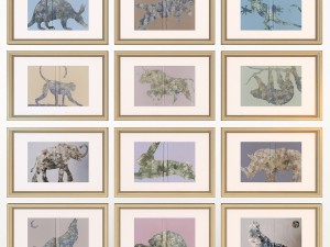 charlotte morgan wildlife book covers Model 3D