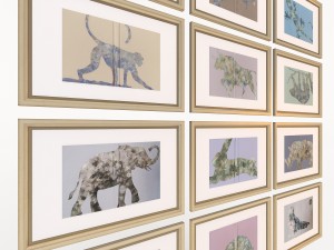 charlotte morgan wildlife book covers 3D-Modell