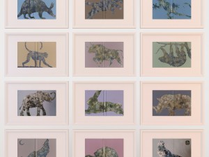charlotte morgan wildlife book covers 3D-Modell