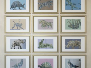 charlotte morgan wildlife book covers 3D-Modell