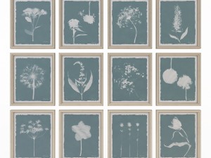 charlotte morgan wild meadow flowers Model 3D