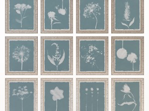 charlotte morgan wild meadow flowers Model 3D