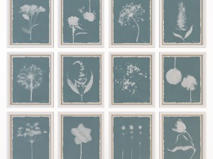 charlotte morgan wild meadow flowers Model 3D