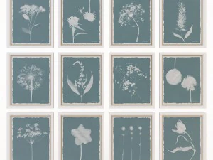 charlotte morgan wild meadow flowers 3D Model