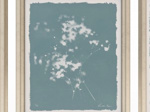 charlotte morgan wild meadow flowers Model 3D