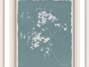 charlotte morgan wild meadow flowers Model 3D