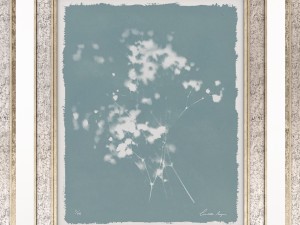 charlotte morgan wild meadow flowers Model 3D
