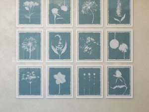 charlotte morgan wild meadow flowers Model 3D