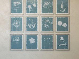 charlotte morgan wild meadow flowers Model 3D