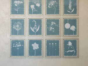 charlotte morgan wild meadow flowers Model 3D