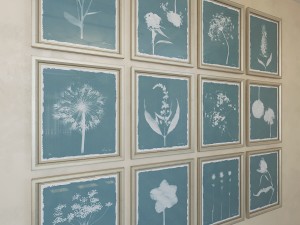 charlotte morgan wild meadow flowers Model 3D