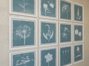 charlotte morgan wild meadow flowers Model 3D