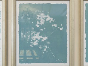 charlotte morgan wild meadow flowers Model 3D