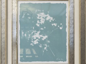 charlotte morgan wild meadow flowers Model 3D