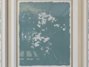 charlotte morgan wild meadow flowers Model 3D